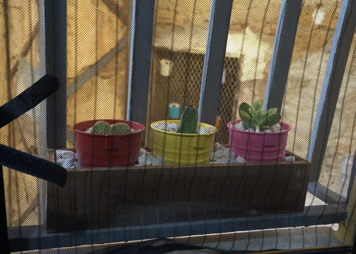 Apartmán Nicchia San Calo Agrigento